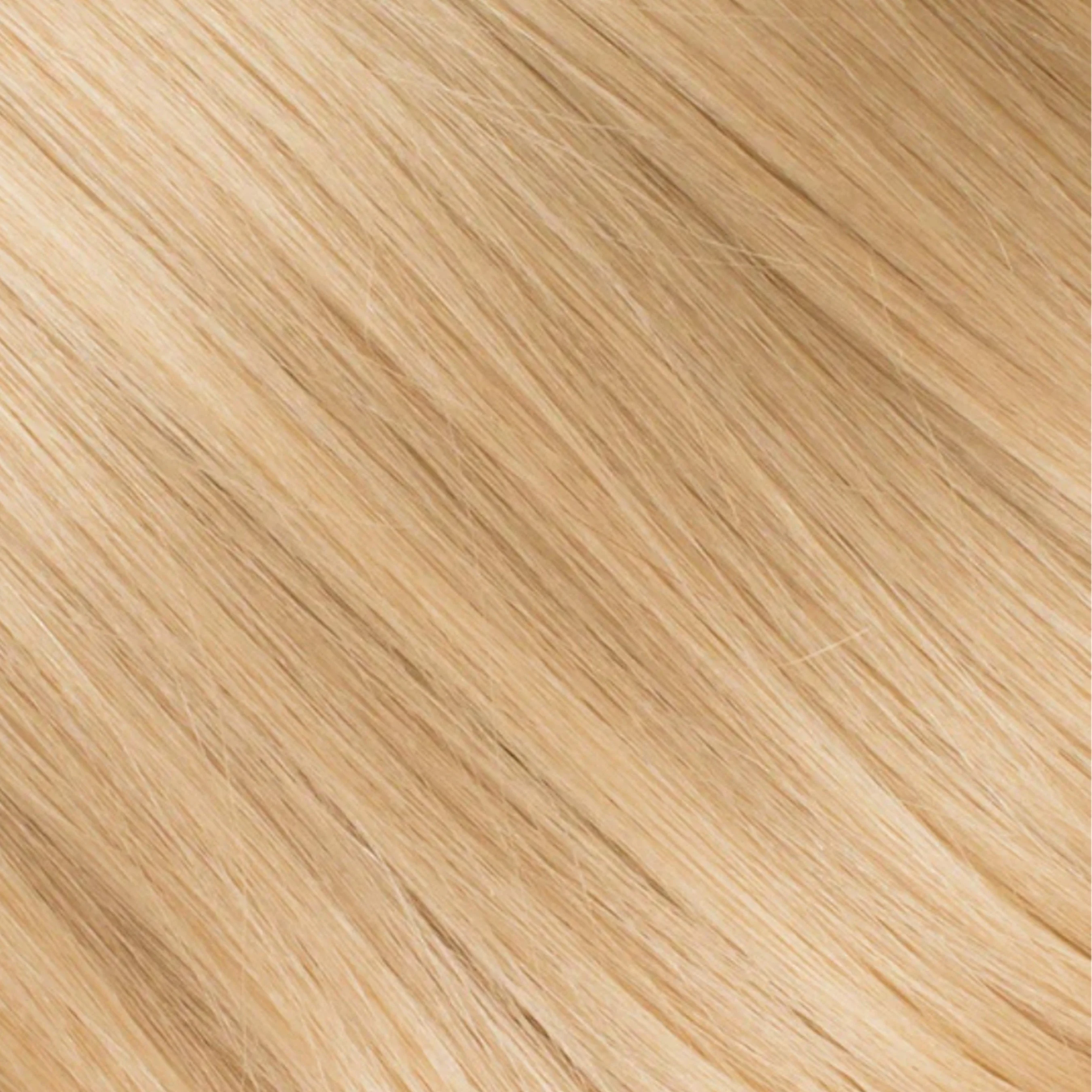 Andrew Fitzsimons Ponytail, Beach Blonde #613 Natural