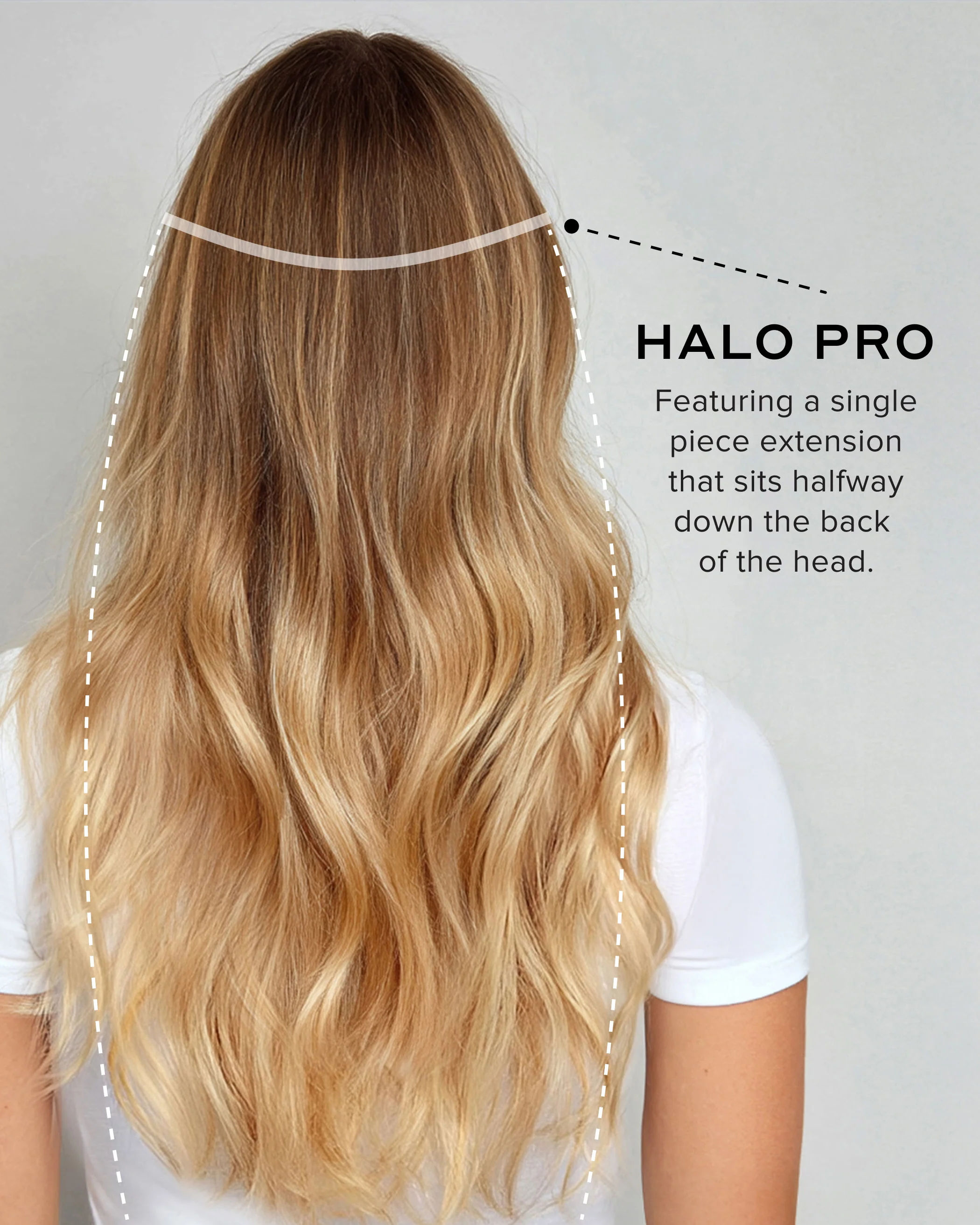 Halo Pro Extensions Kit, Ash Brown/Ash Blonde #8/60 Balayage - Image 11