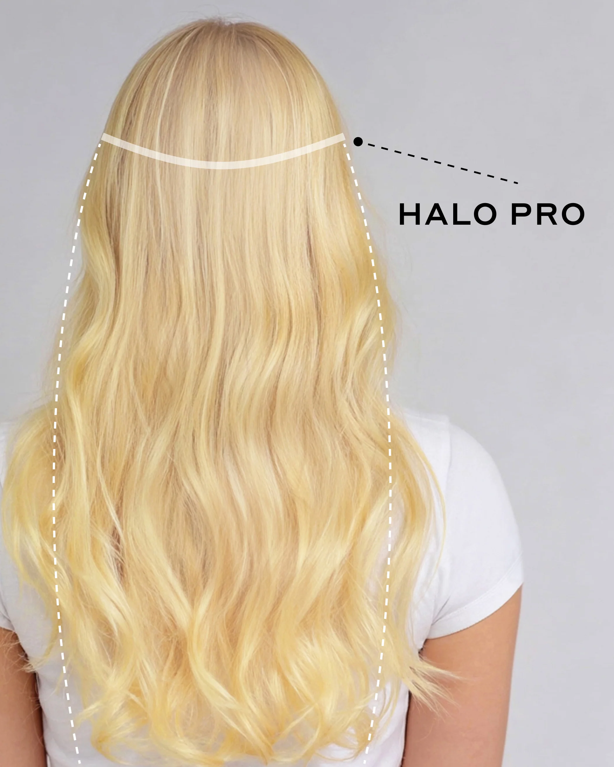 Professional New Arrivals