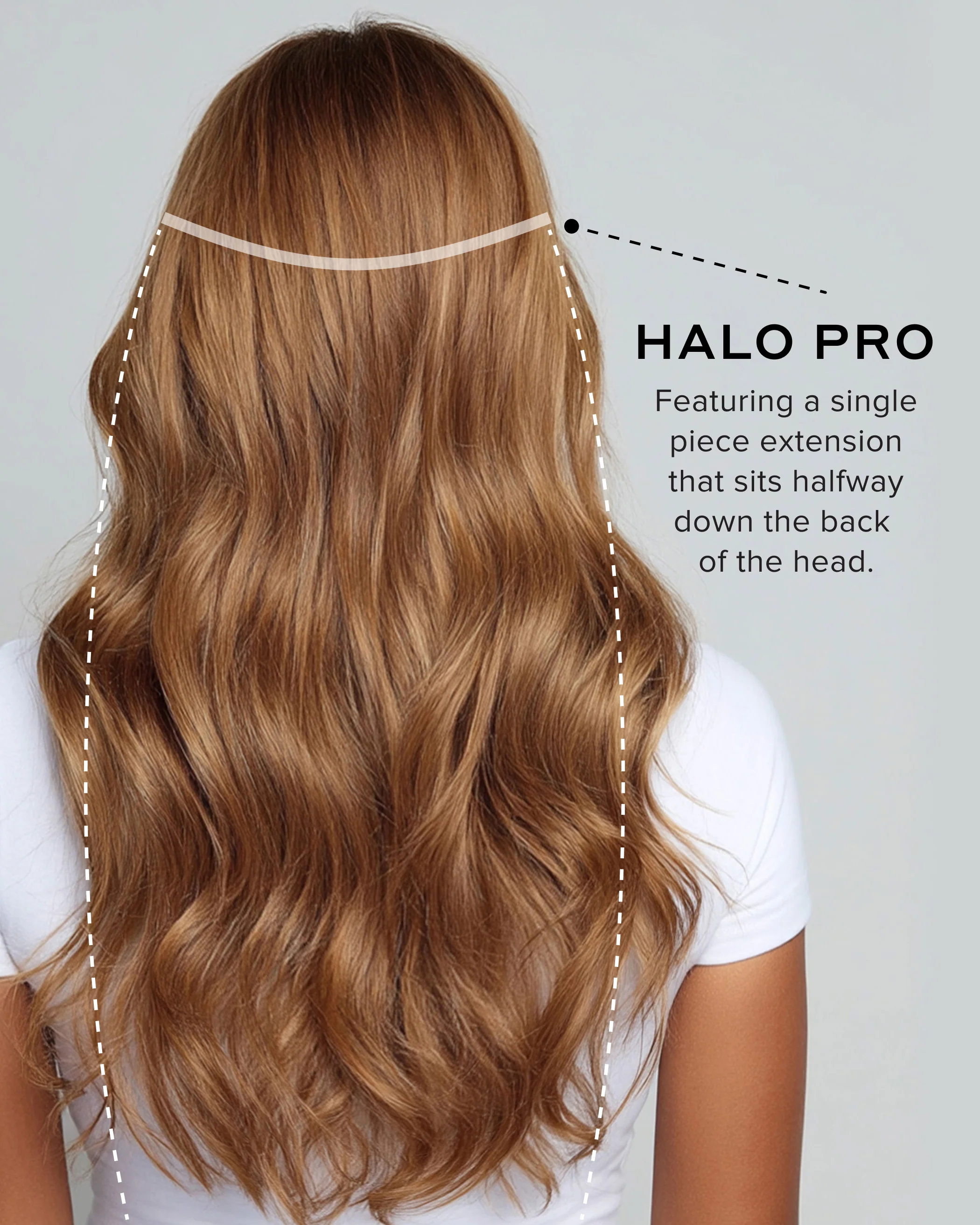 Halo Pro Extensions Kit, Chestnut Brown #6 Natural - Image 12