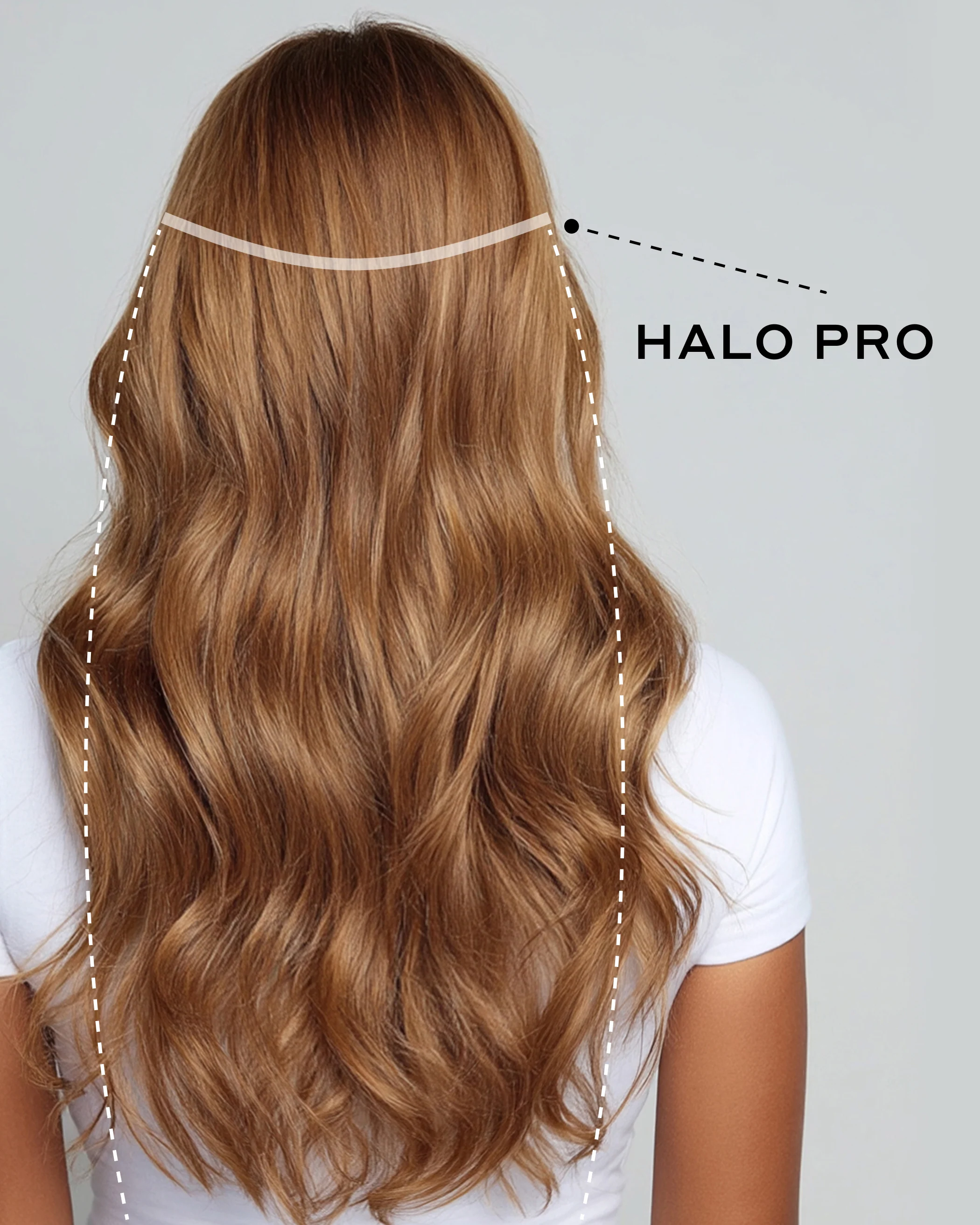 Halo Pro Extensions Kit, Chestnut Brown #6 Natural - Image 2