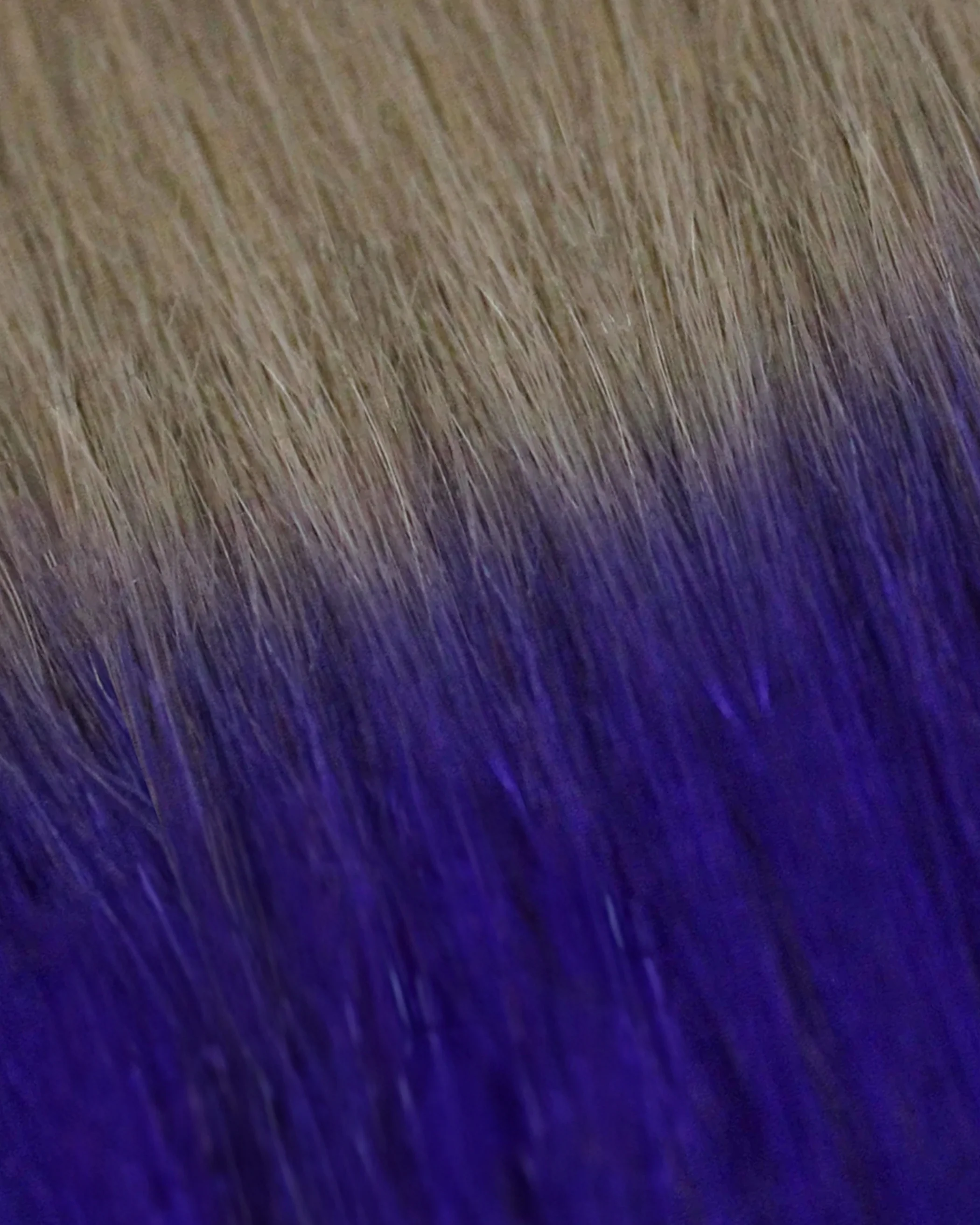 Lace Weft Clip-In, Dirty Blonde/Violet Ombre